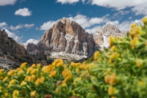 Special Offers in Cortina d'Ampezzo Dolomites