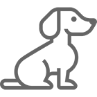 Cane